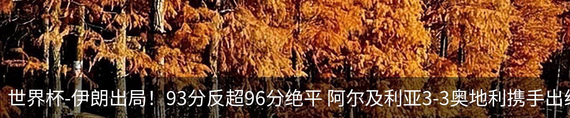 内页banner