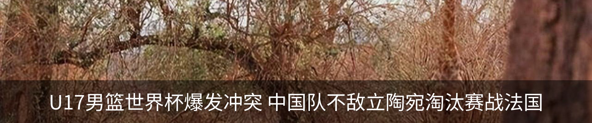内页banner